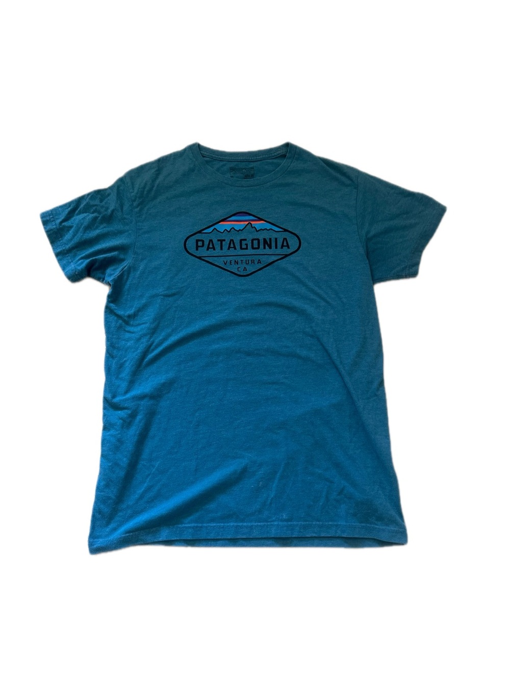 Patagonia Teal Short-Sleeve Logo Tee